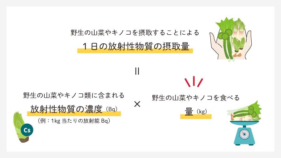 野生の山菜やキノコを摂取することによる1日の放射性物質の摂取量の計算式