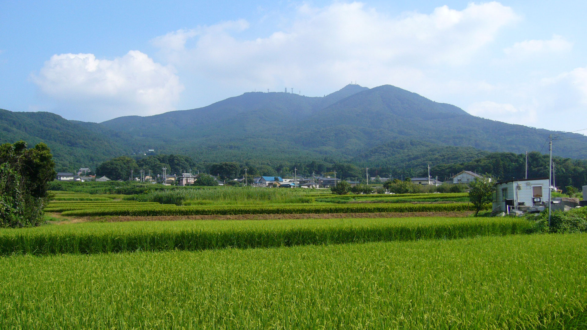 桜島