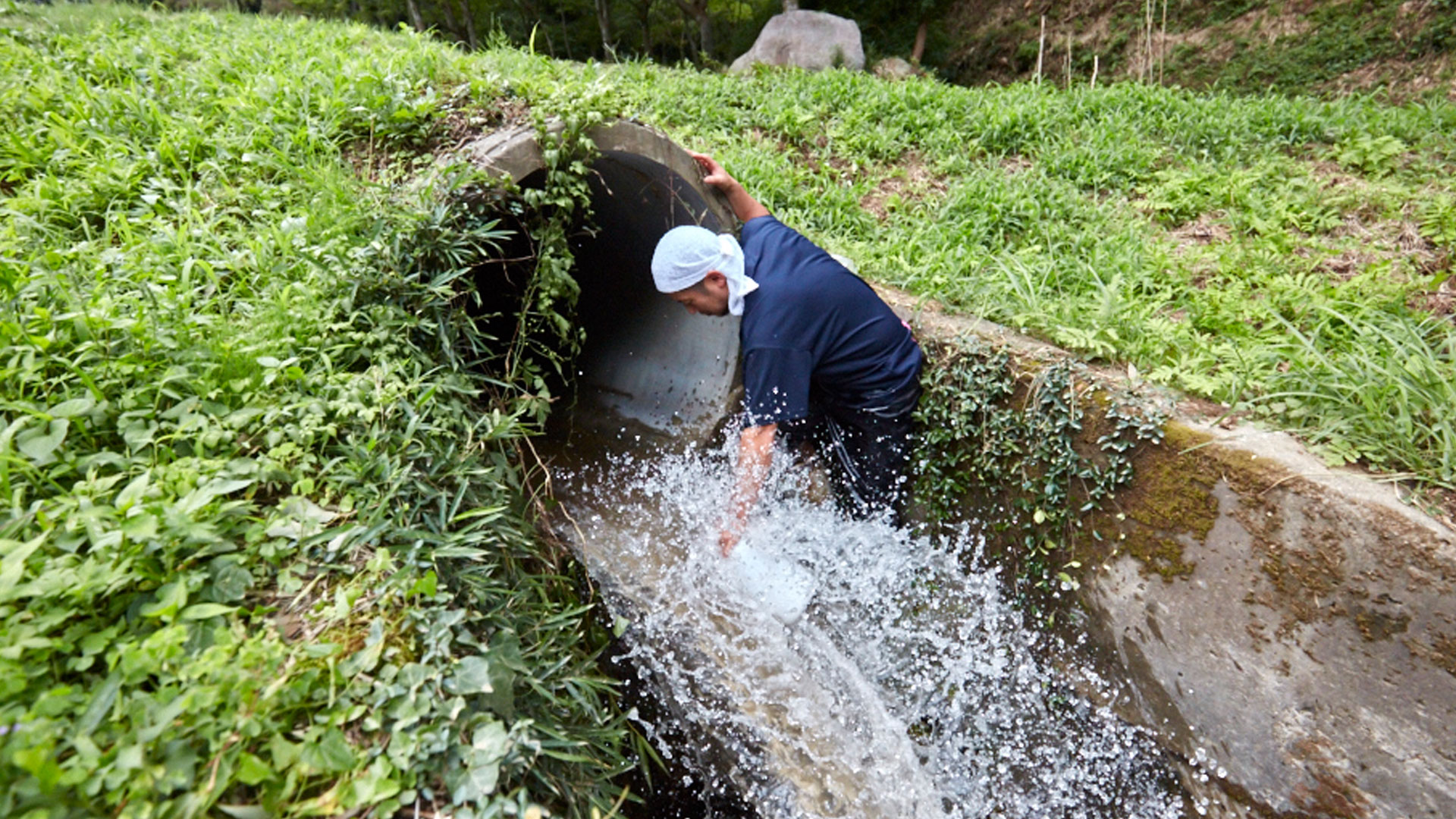 水を汲む様子