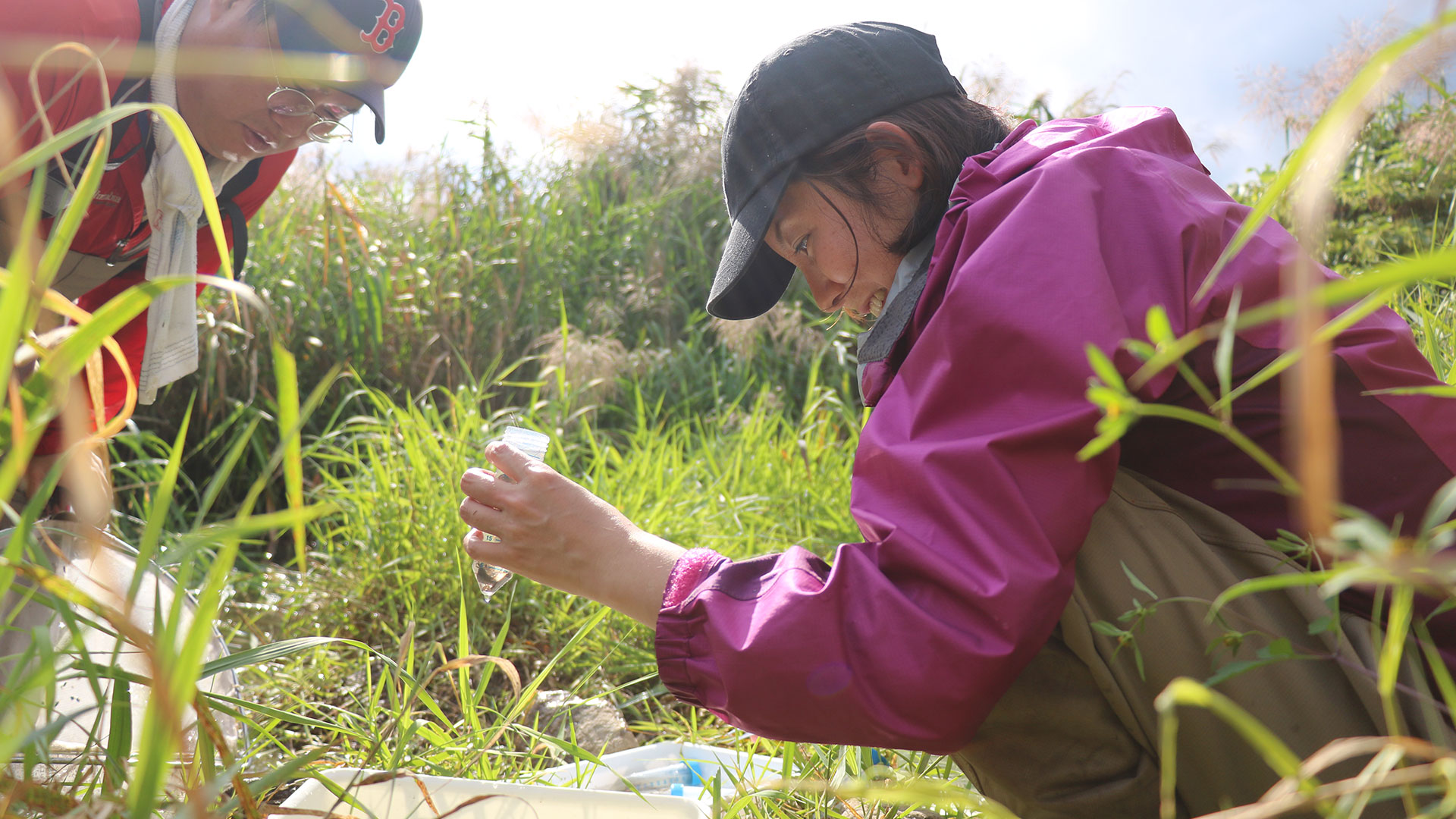 太田川にて底生動物を採取する様子