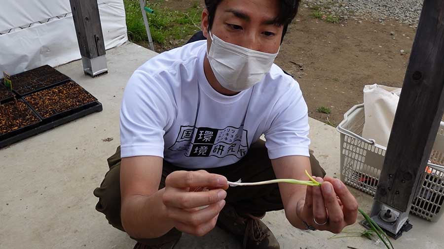 山で採った山菜を説明してくれる境主任研究員