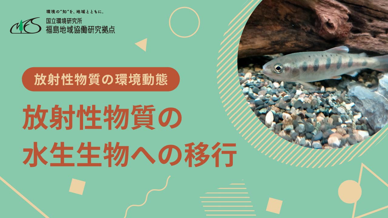 放射性物質の環境動態「放射性物質の水生生物への移行」サムネイル