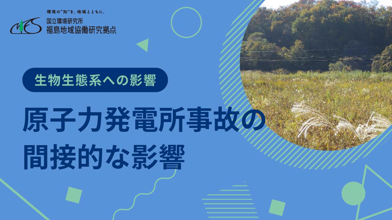 生物生態系への影響　「原子力発電所事故の間接的な影響」サムネイル