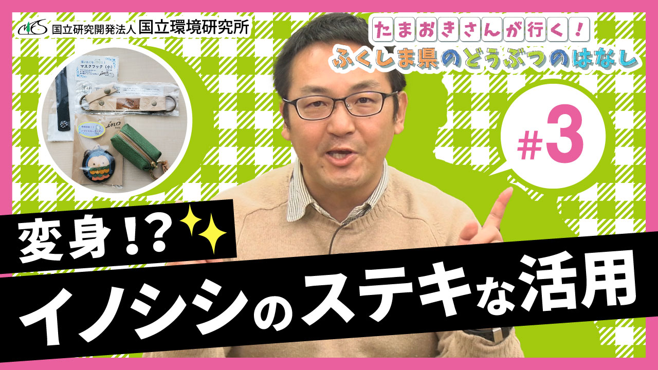 たまおきさんが行く!ふくしま県のどうぶつのハナシ第３回「変身!?イノシシのステキな活用」サムネイル