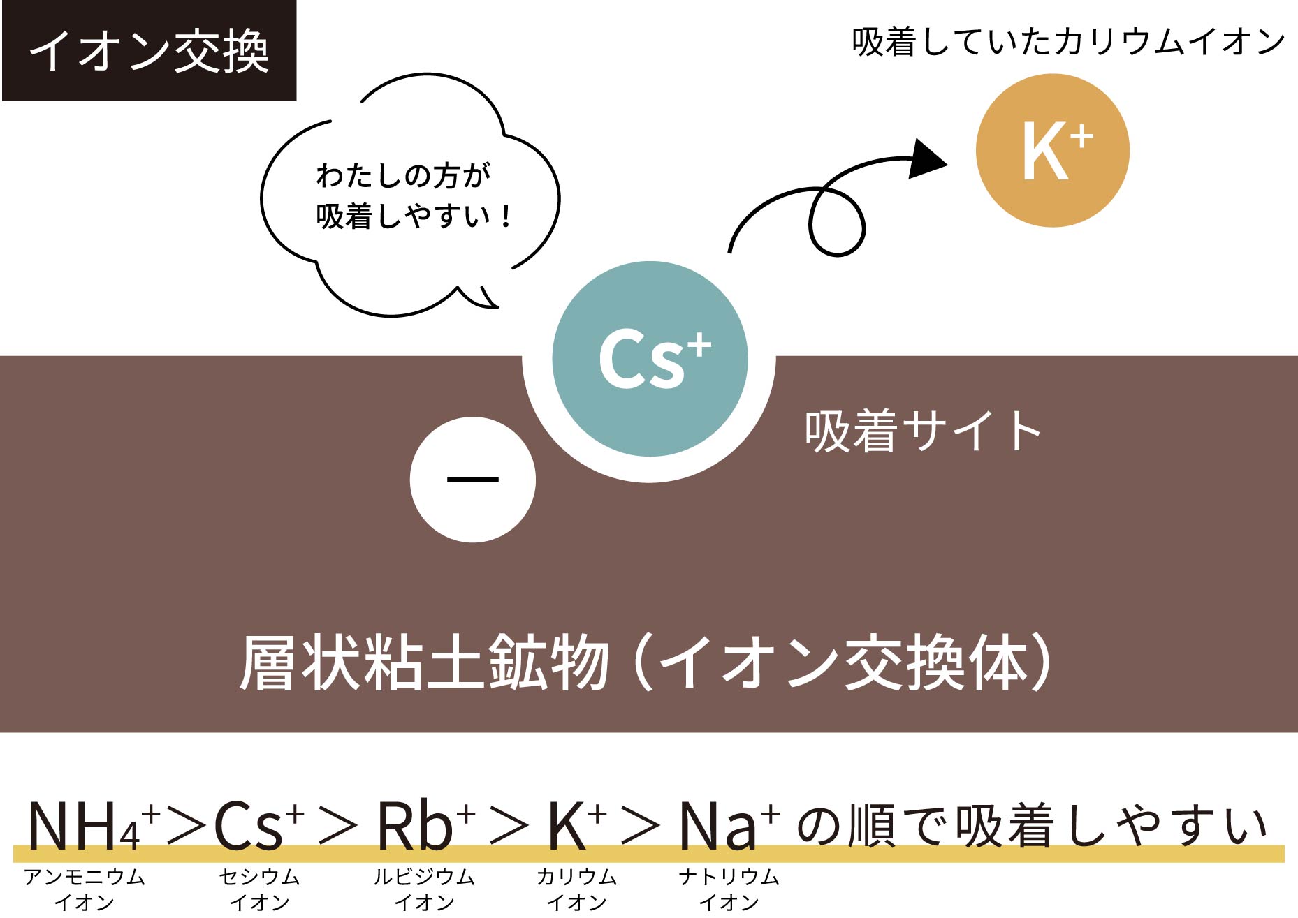 イオン交換のイラスト