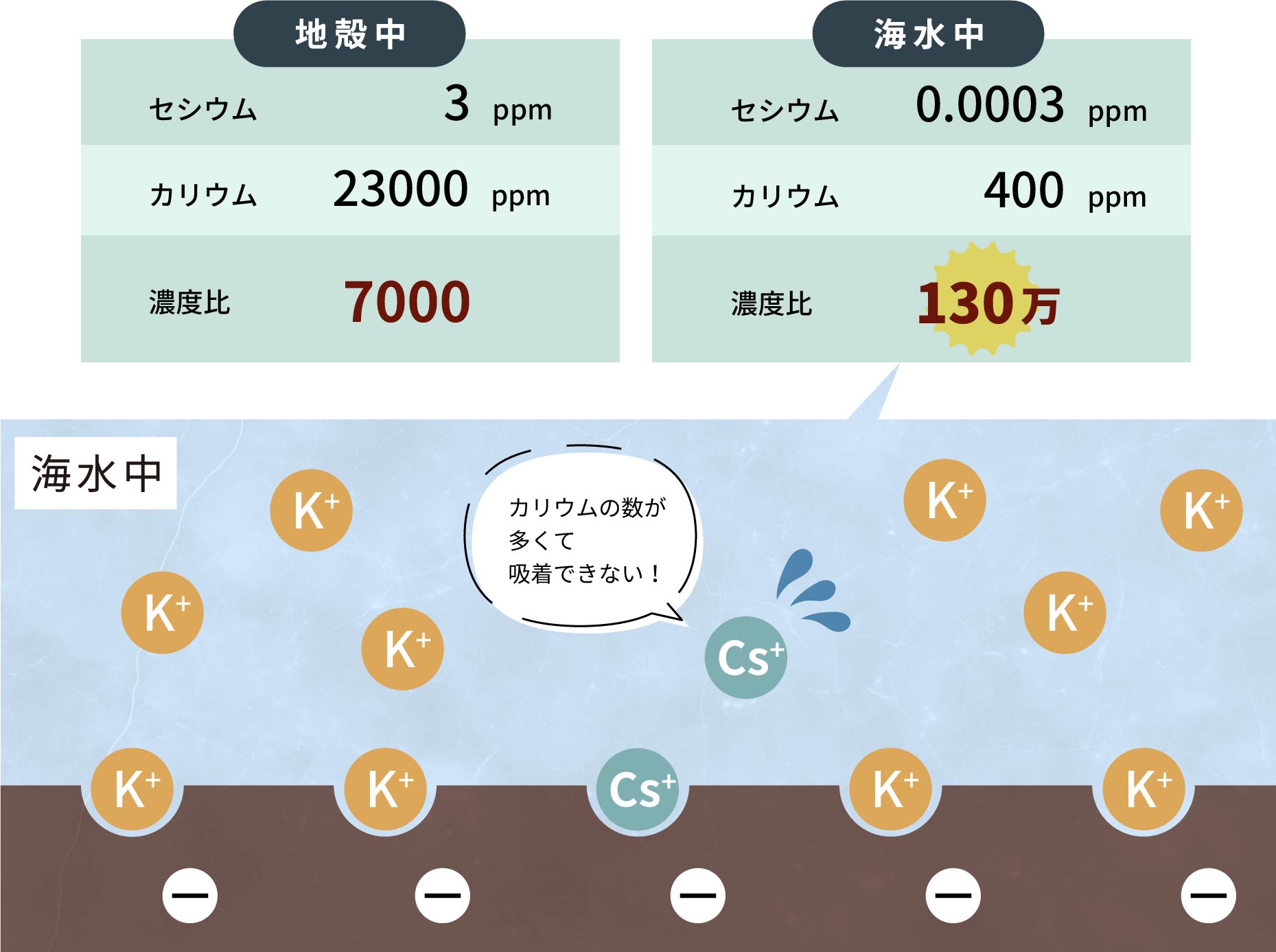 地殻と海水におけるカリウムとセシウムの濃度比の比較、海水中におけるセシウムの溶けにくさの図解