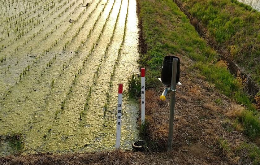 田んぼダムで洪水を防ぐ？サムネイル