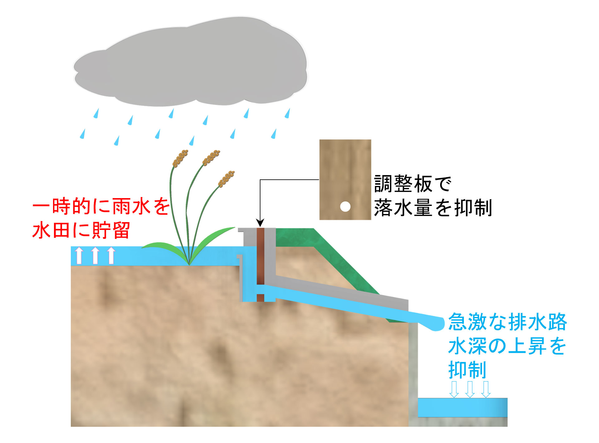 田んぼダムのイメージ図