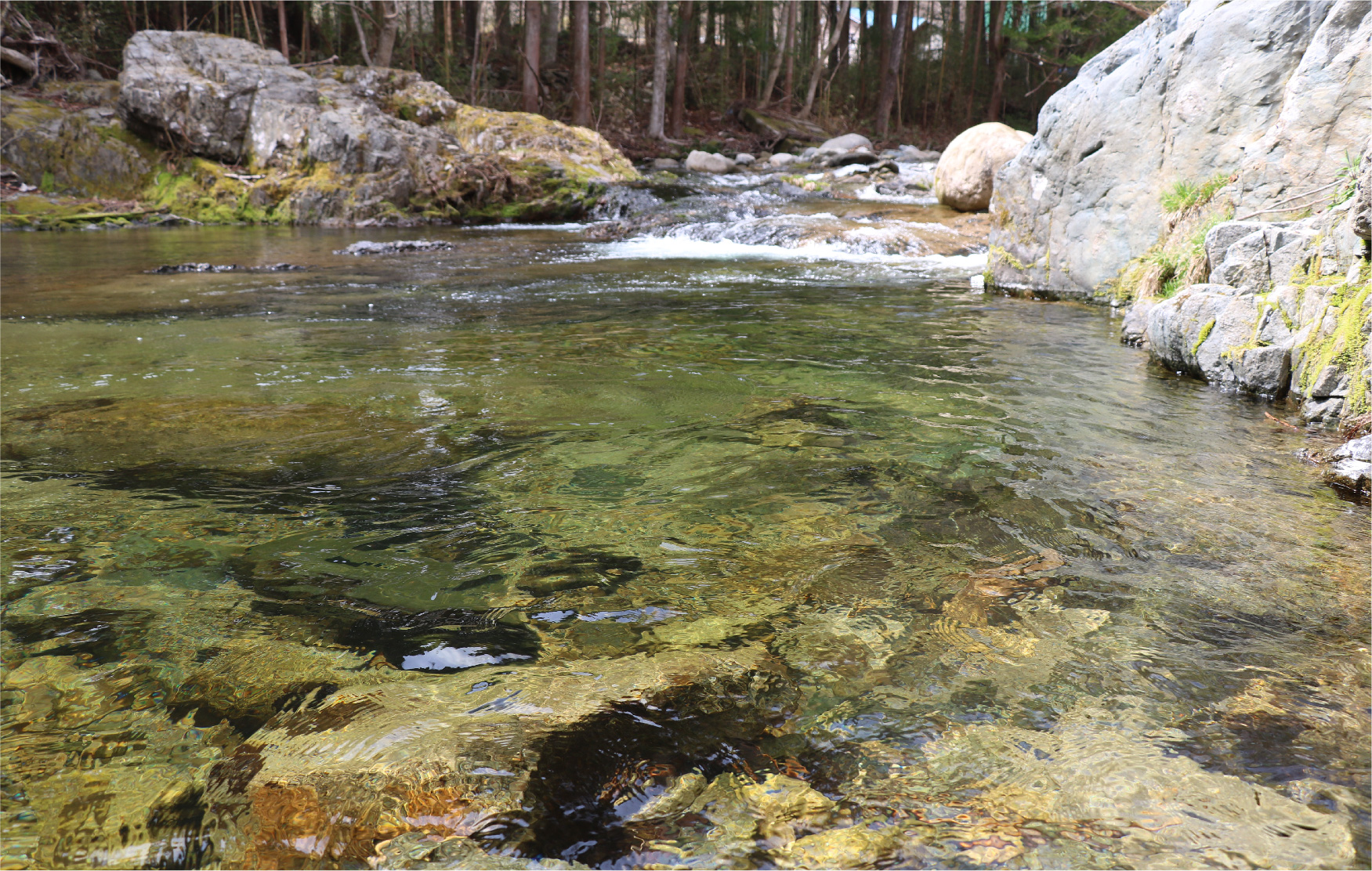 川の水に溶けている放射性セシウムの動きサムネイル