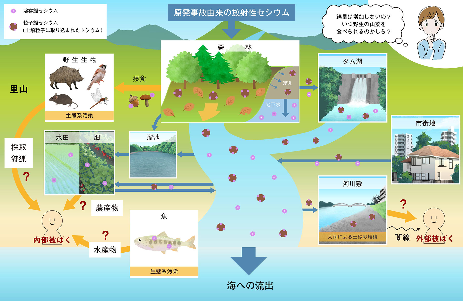 横川ダム放流口の採水サンプルの写真