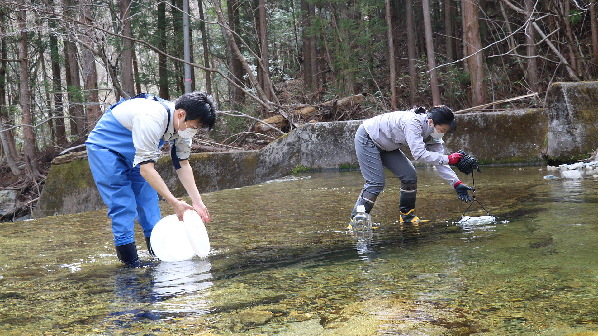 河川で採水する様子の写真