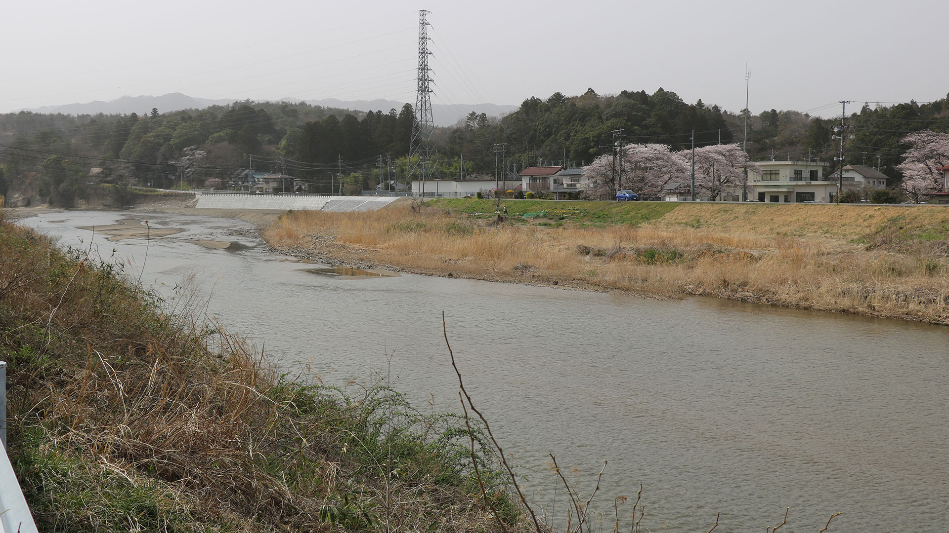 都市部の河川の写真