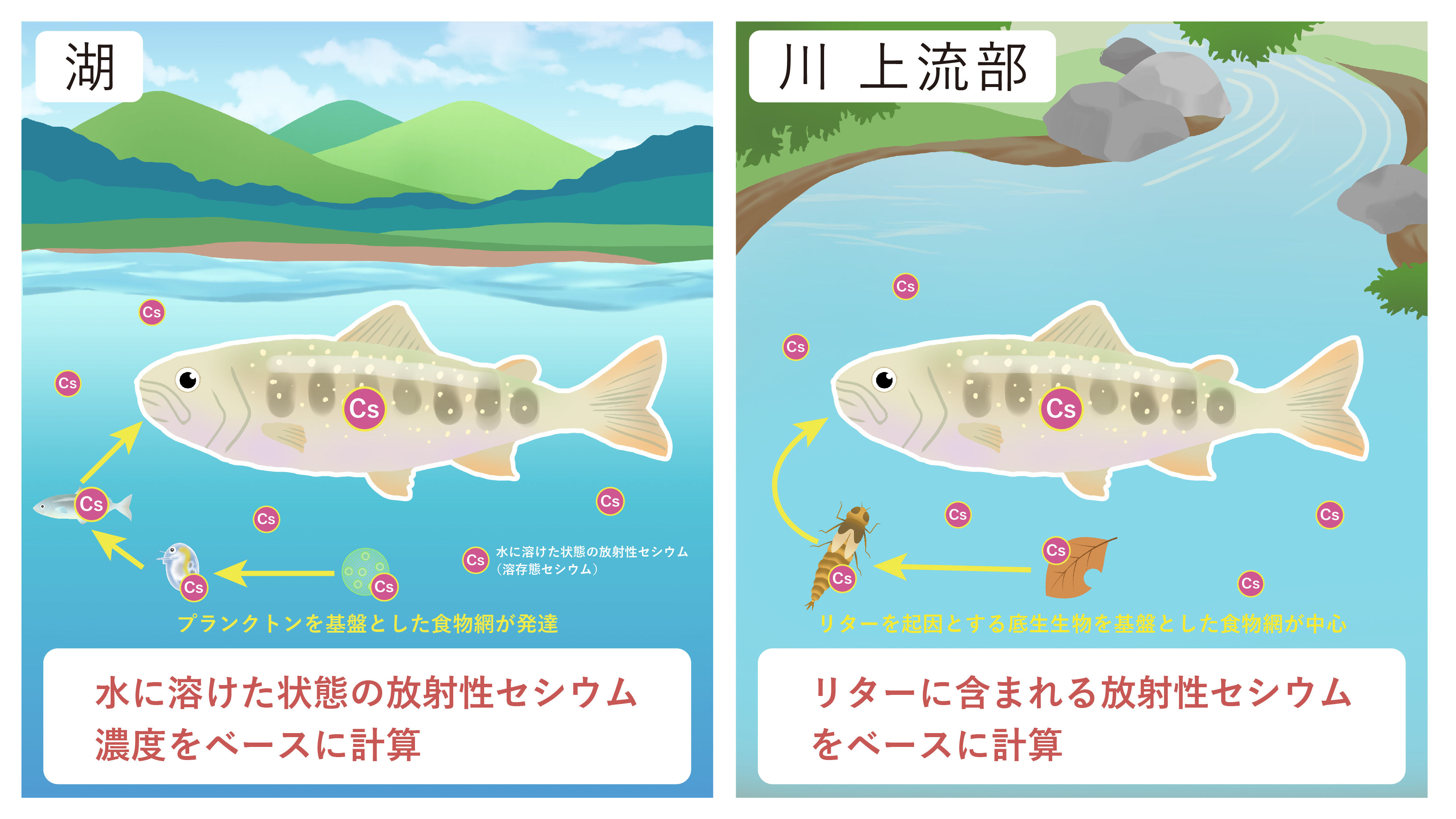 太田川中流域における調査の写真