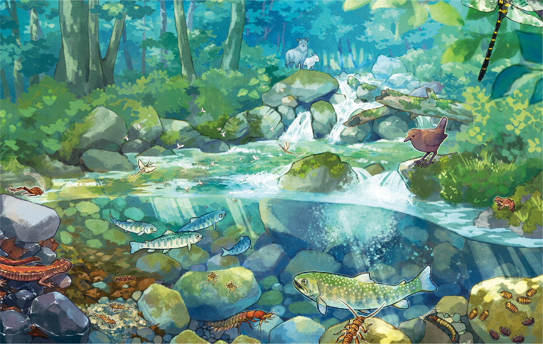 河川が抱く重層的な多様性 —水辺の自然に寄り添い、未来につなぐために—サムネイル