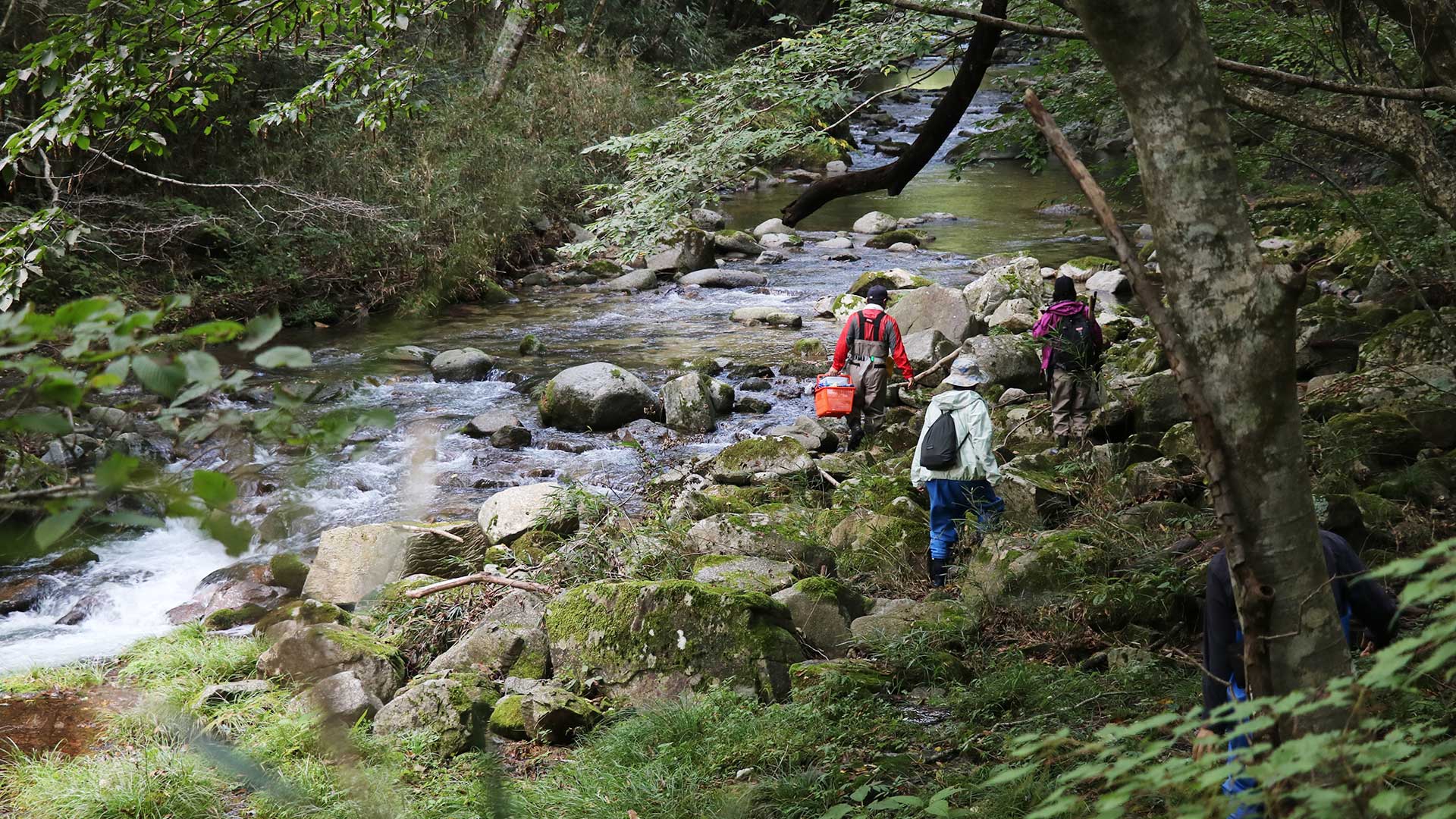 里山の暮らし