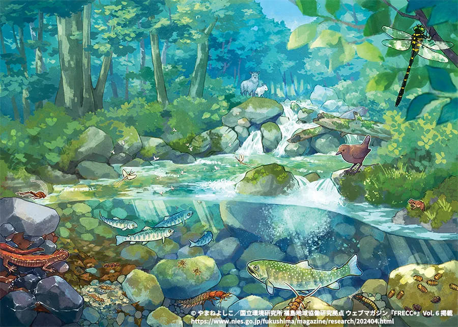 河川生態系を表現したイラスト