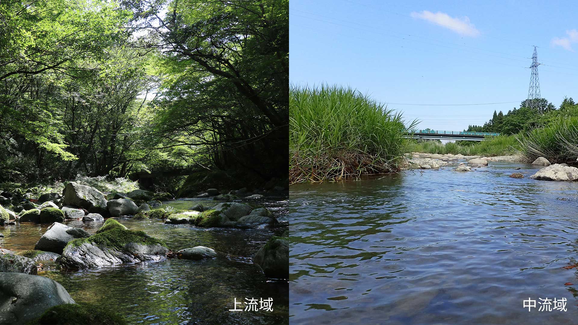 上流・中流のイメージ