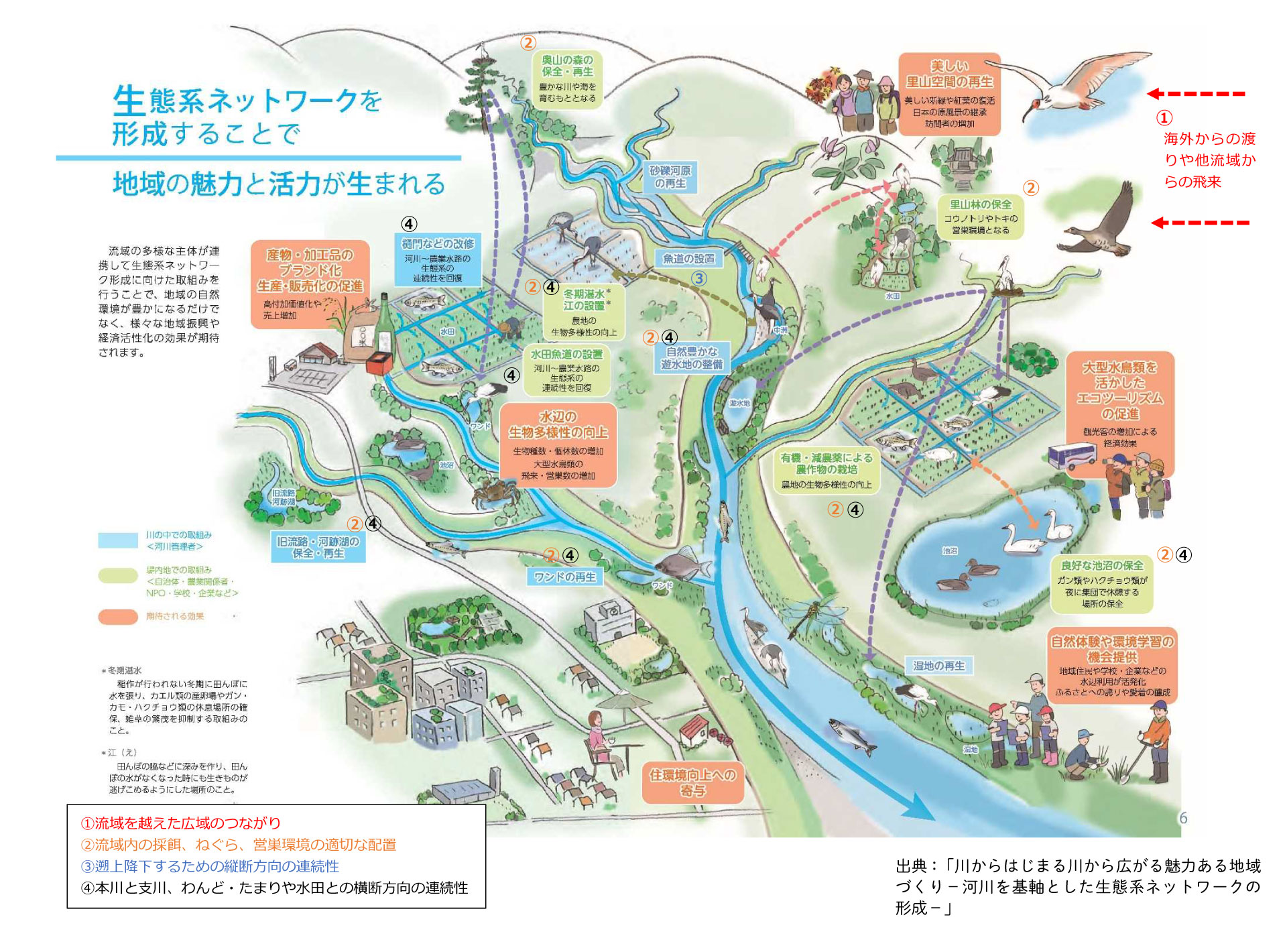 河川を基軸とした生態系ネットワークの形成