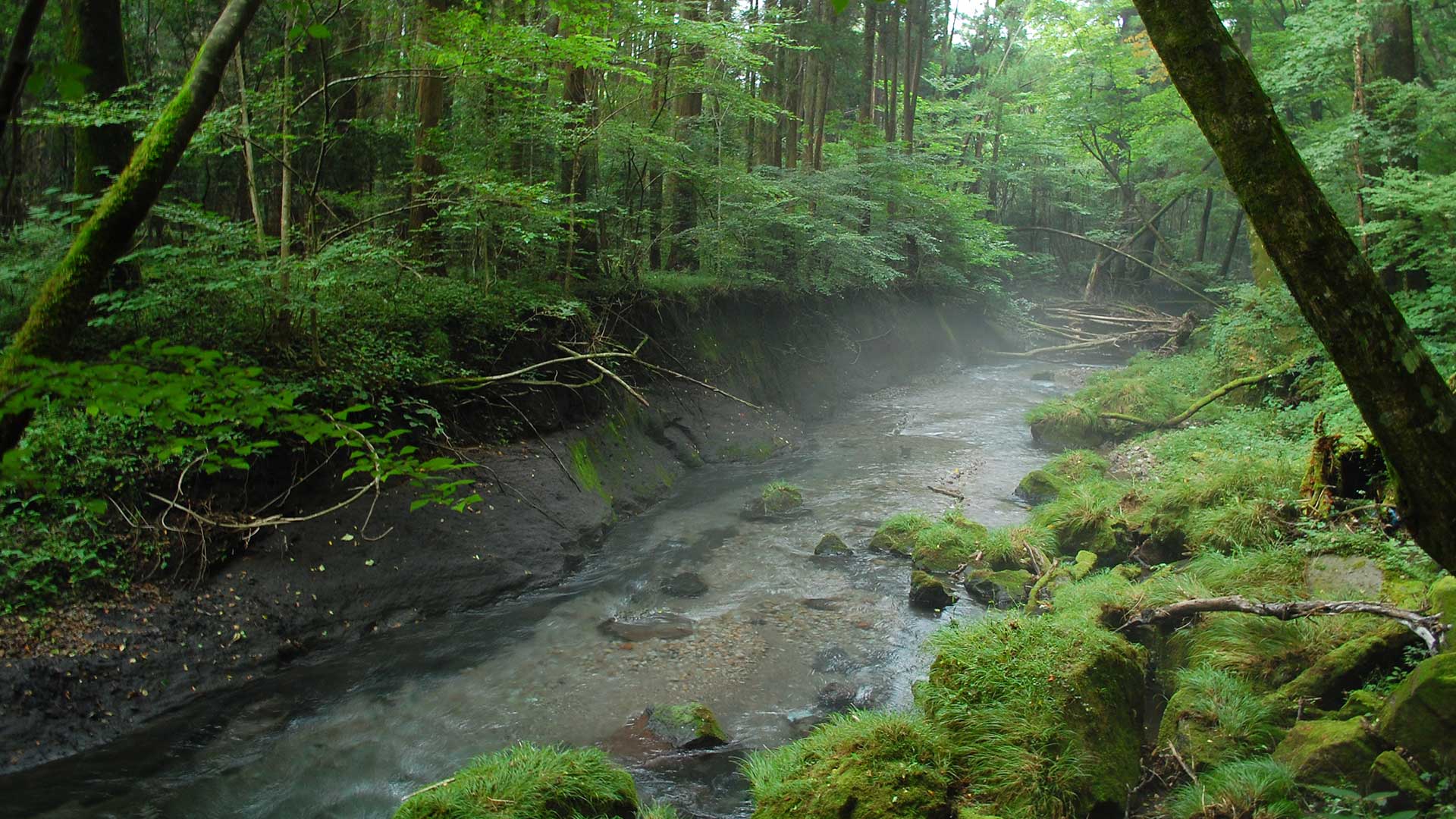 大分・湧水河川