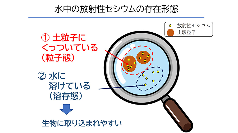 土粒子にくっついている粒子態と水に溶けている溶存態