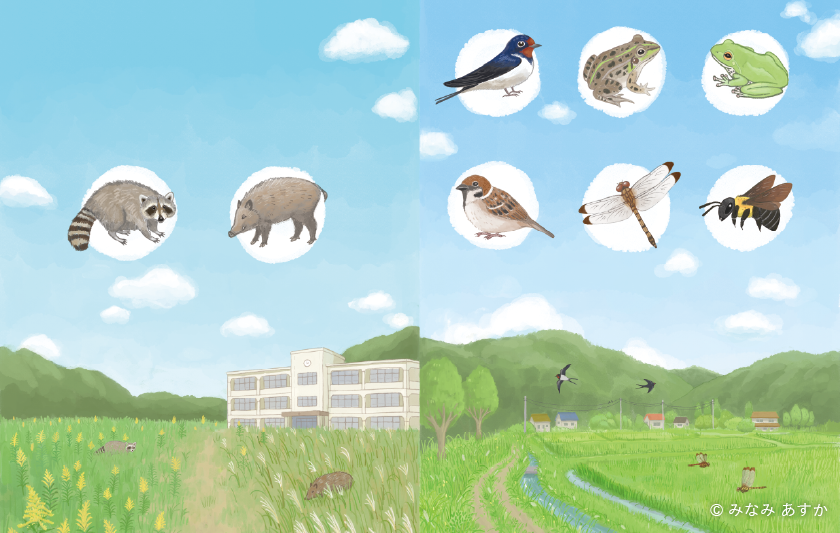 研究紹介記事サムネイル