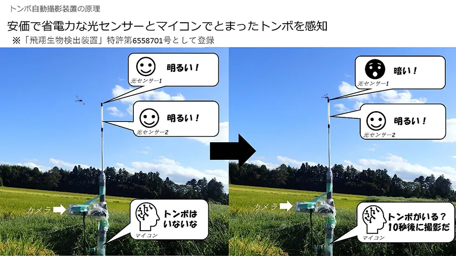開発したトンボ自動撮影装置の原理