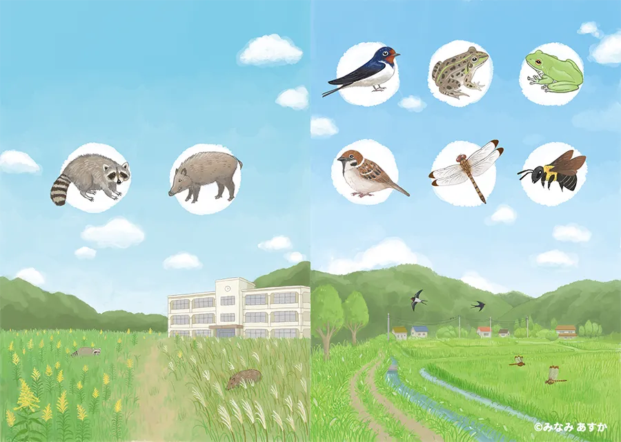 里山と帰還困難区域、野生生物たちのイラスト