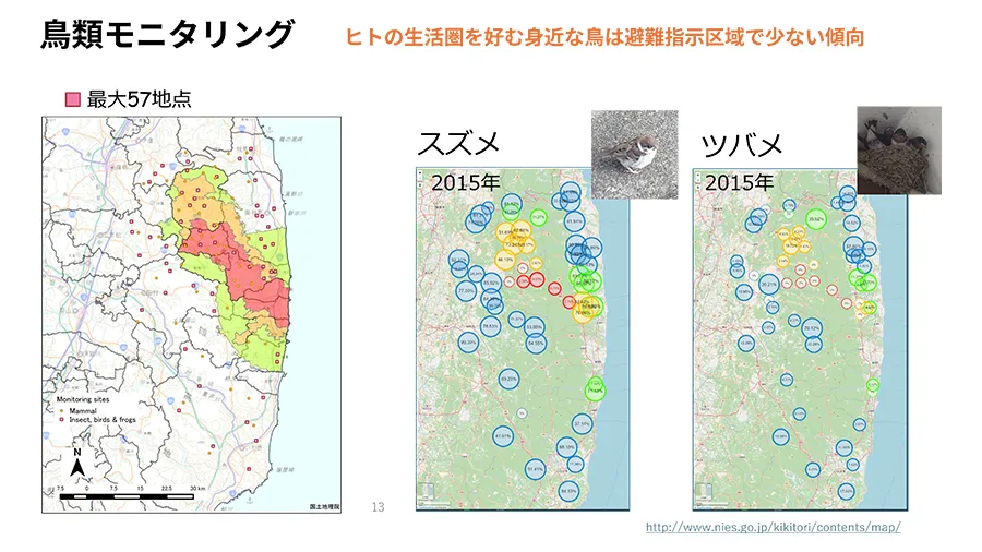 鳥類モニタリングの結果