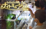 環境創造センターサムネイル画像