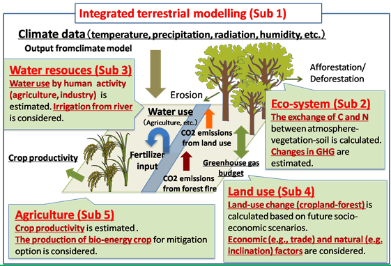 research paper on climate change and its impact