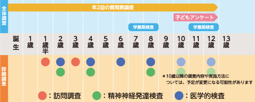 詳細調査ロードマップ