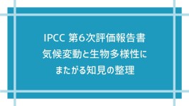 エコカーはエコ怪？　〜エコは所詮カタログ上の話かもネ〜