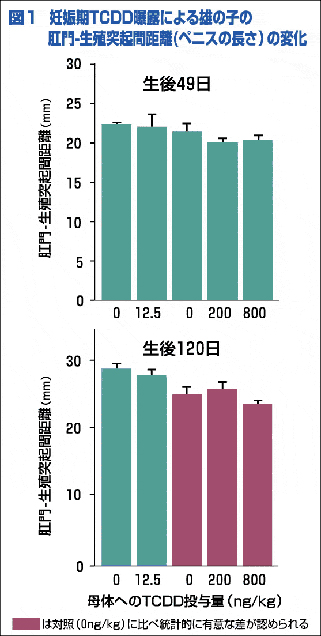 図１妊娠期TCDD曝露による雄の子の肛門－生殖突起間距離（ペニスの長さ）の変化図１にんしんき