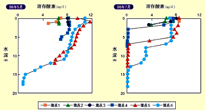 調査地点における溶存酸素の鉛直分布