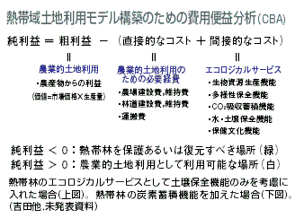 図 熱帯域土地利用モデル構築のための費用便益分析 （CBA) 