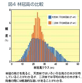 図4 林冠高の比較 