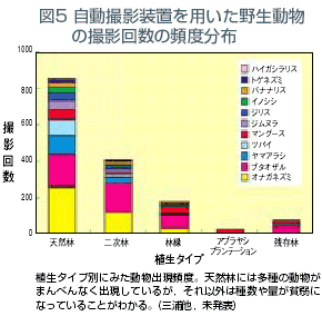 伐採 影響 森林 森林劣化が生態系に及ぼす影響