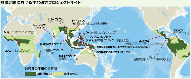 図 熱帯地域における主な研究プロジェクトサイト