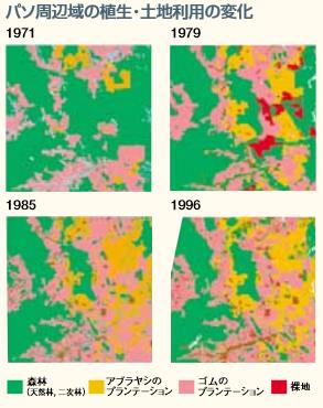 図 パソ周辺域の植生・土地利用の変化