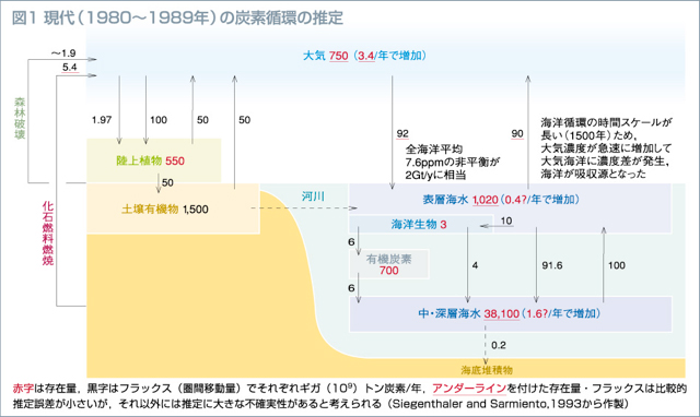 図1 現代（1980年～1989年）の炭素循環の推定