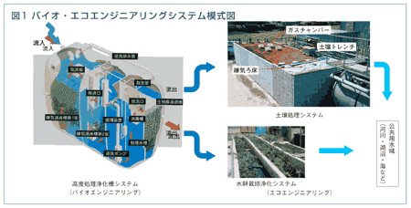 図1 バイオ・エコエンジニアリングシステム模式図