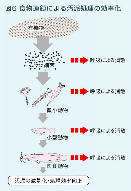 図6