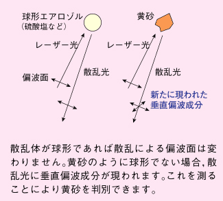 散乱体が球形であれば散乱による偏波面は変りません。黄砂のように球形でない場合、散乱光に垂直偏波成分が表れます。これを測ることにより黄砂を判別できます