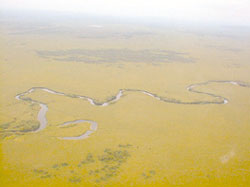 釧路湿原の写真