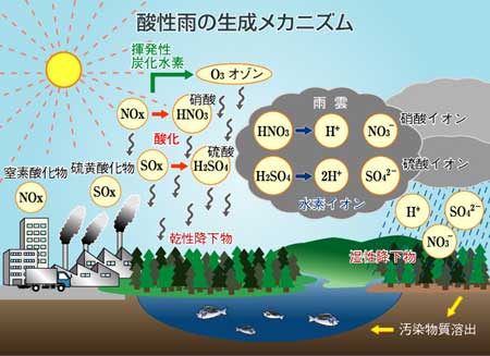 図：酸性雨の生成メカニズム