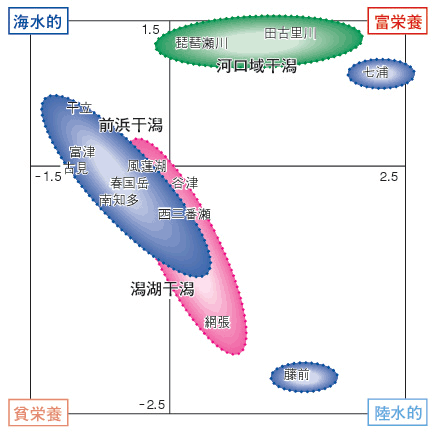 生態系機能による干潟の分類結果の図