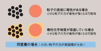 粒子表面の物理・化学的性状と毒性の図