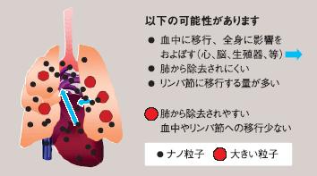 吸入されたナノ粒子の体内挙動の図