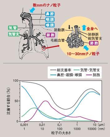 吸い込まれた粒子が沈着する場所の図