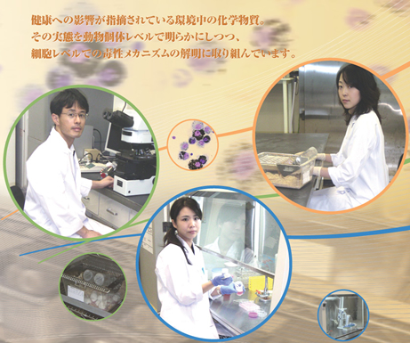 井上健一郎/小池英子/柳澤利枝